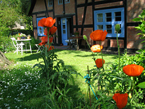 Ferienwohnung Ostseebad Ahrenshoop Boddenweg 8